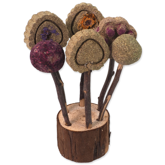 Lollipop per roditori 17cm