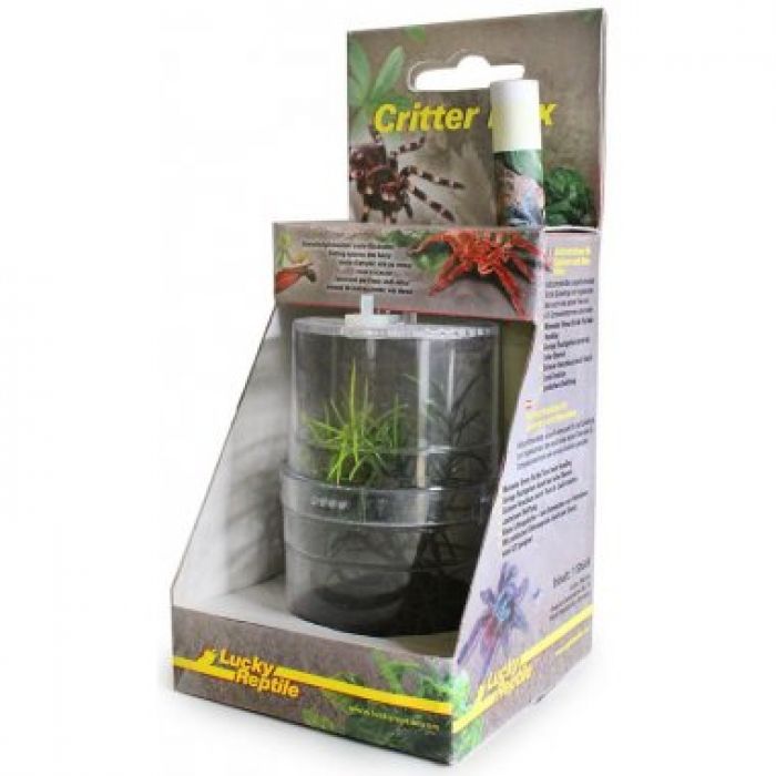Lucky Reptile Critter Box