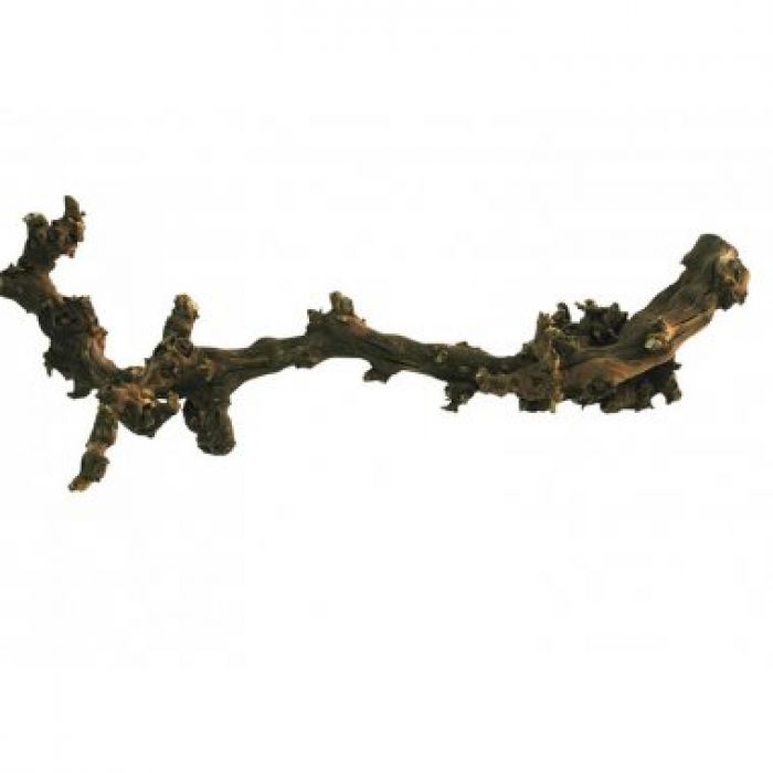Lucky Reptile Grapevine Dark 30-45cm