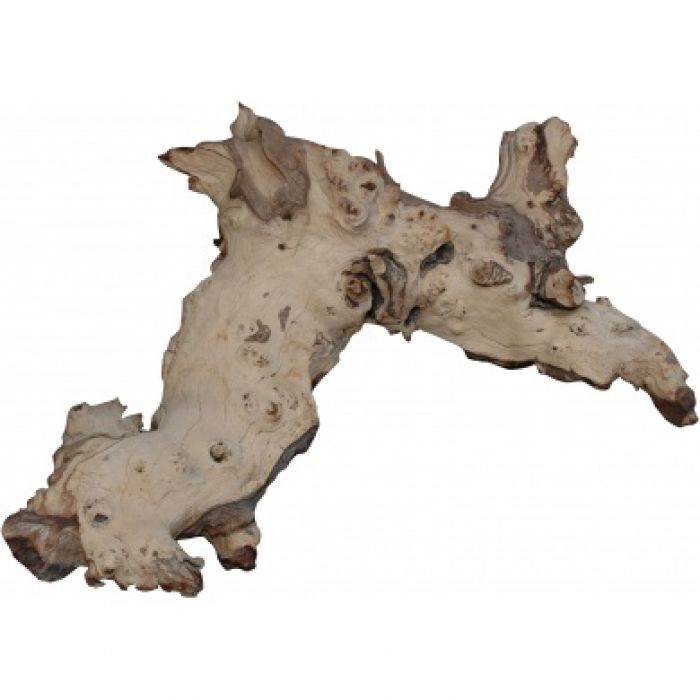 Lucky Reptile Mopani Wood 15-30cm