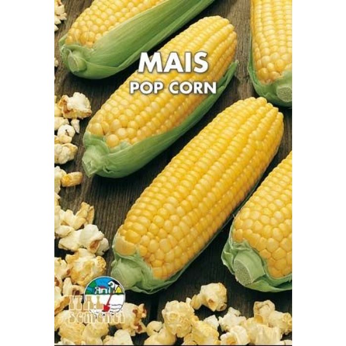 Mais Pop Corn