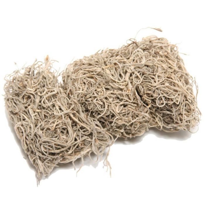 Tillandsia Usneoides Naturale Essiccata
