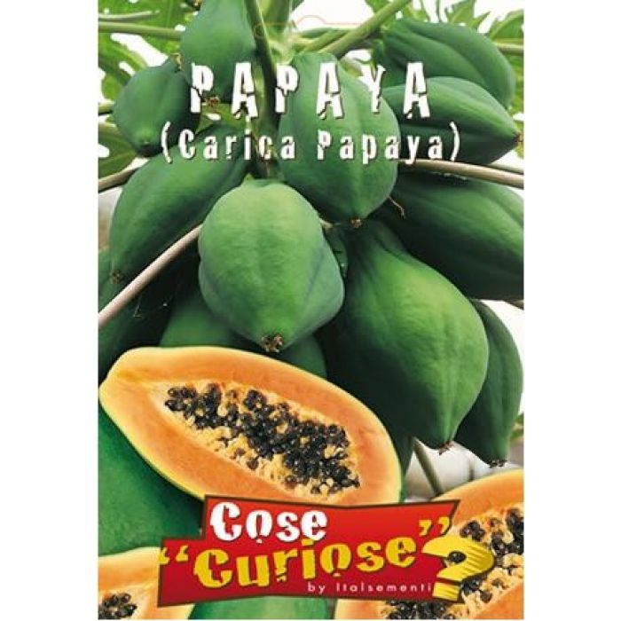 Semi Di Papaya