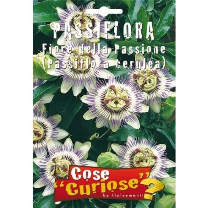 Semi Di Passiflora (fiore Della Passione)