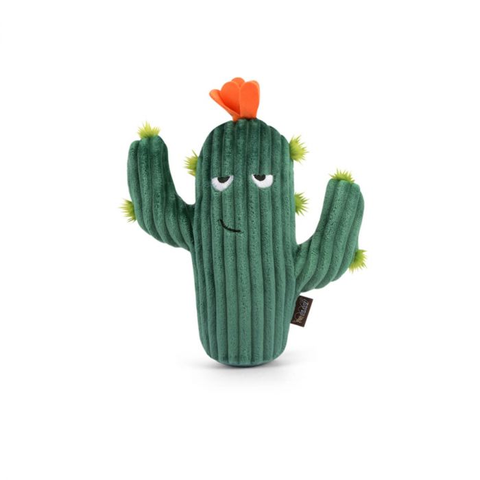 Pet PLAY - Prickly Pup Cactus