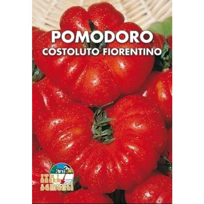 Semi di Pomodoro Costoluto Fiorentino