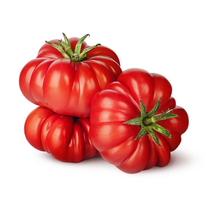 Pomodoro Supercostoluto fiorentino - Vaschetta 4 piantine