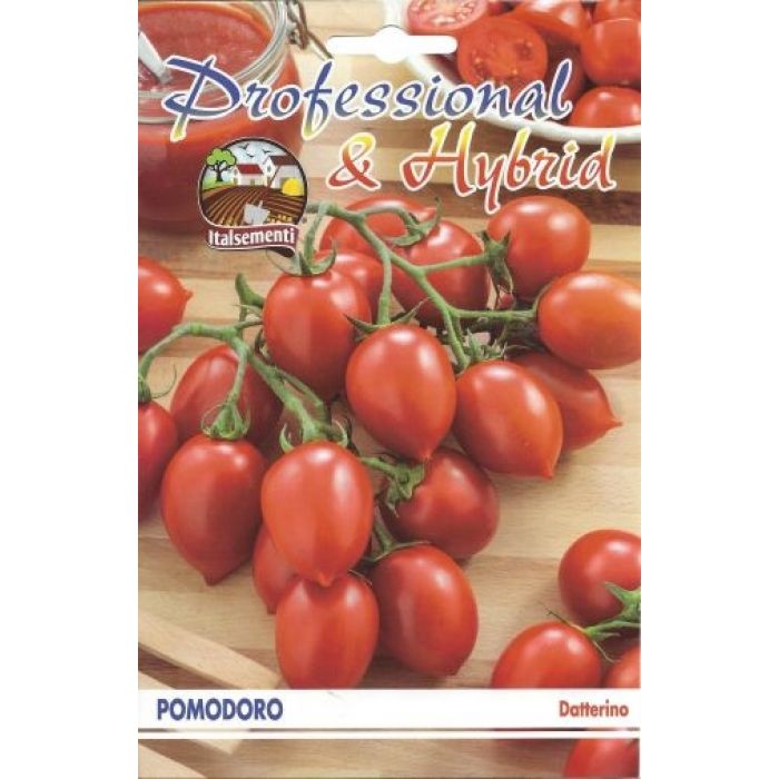 Semi di Pomodoro Datterino