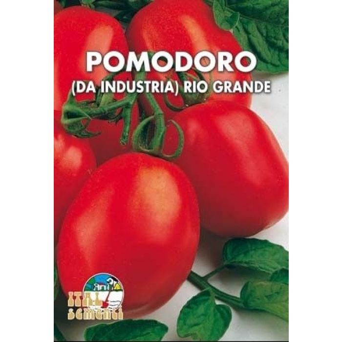 Semi di Pomodoro Rio Grande (da industria)
