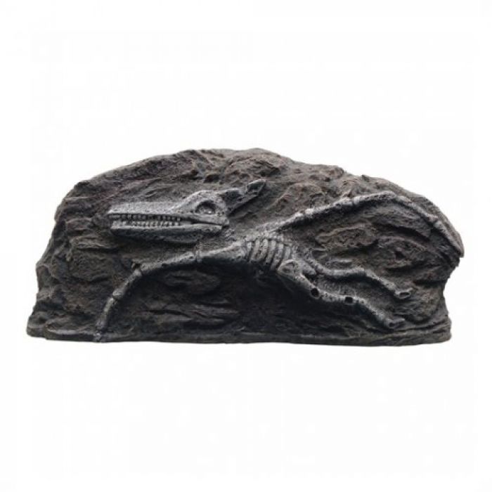 Pterdactyl Brown Fossil
