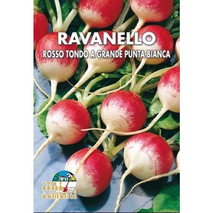 Semi di Ravanello Rosso Tondo a Piccola Punta Bianca