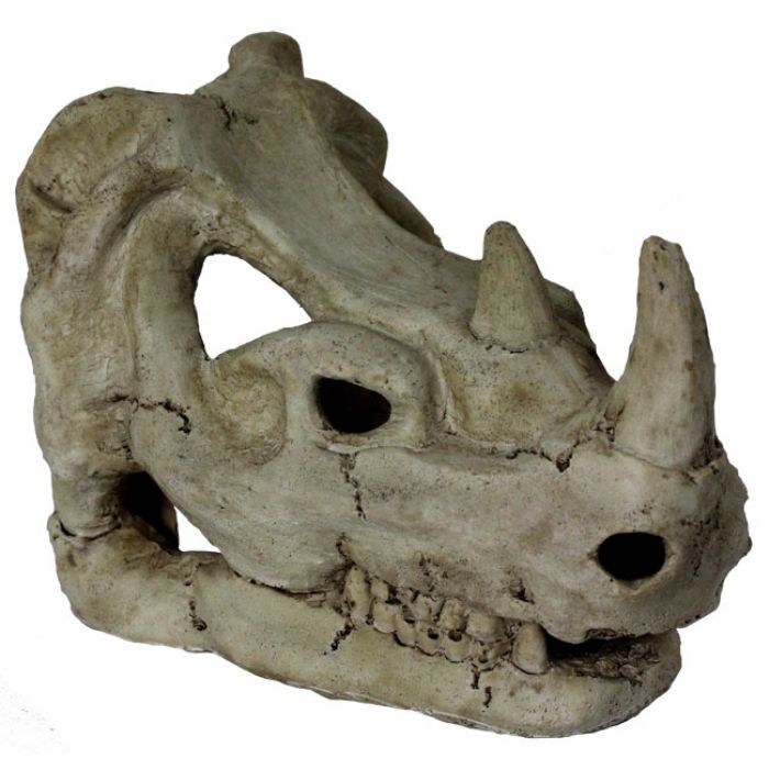 Reptiles-planet Rhinoceros Skull