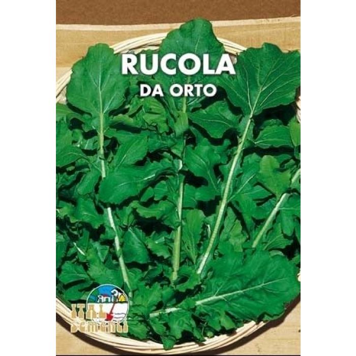 Semi di Rucola Coltivata