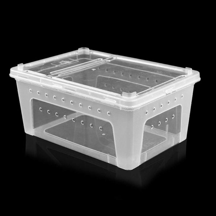Box di allevamento XL 38x24x17cm