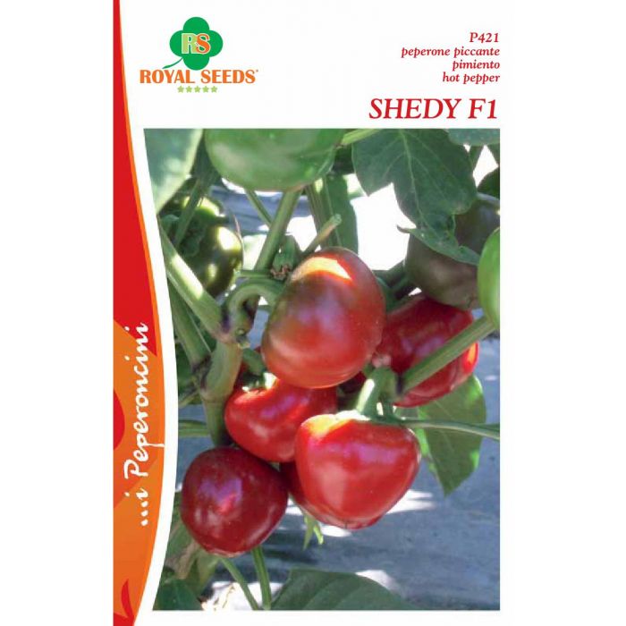 Semi Peperoncino Shedy F1