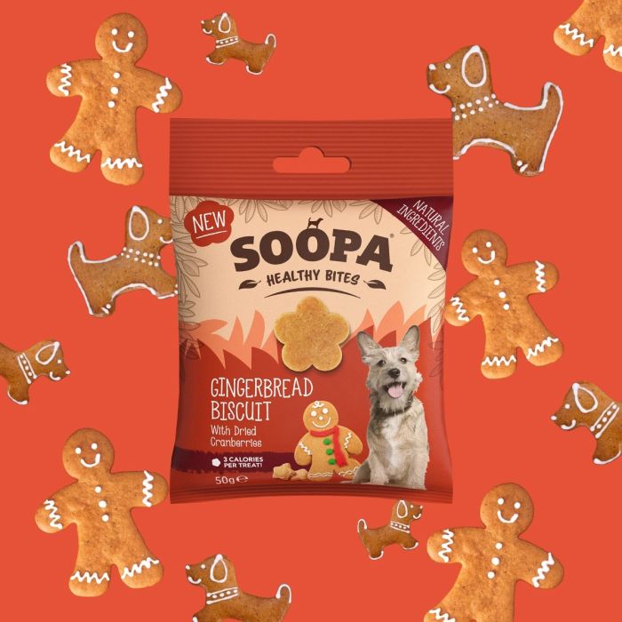 Soopa - Pan di zenzero con Mirtilli rossi Bites
