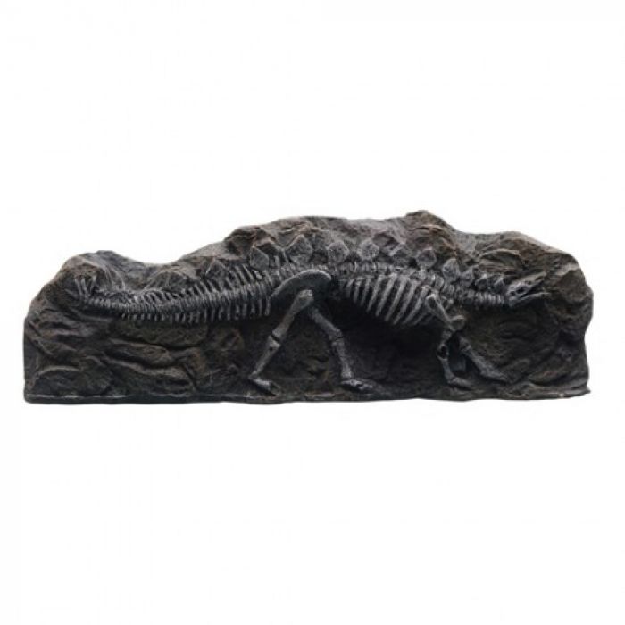 Stegosaurus Brown Fossil