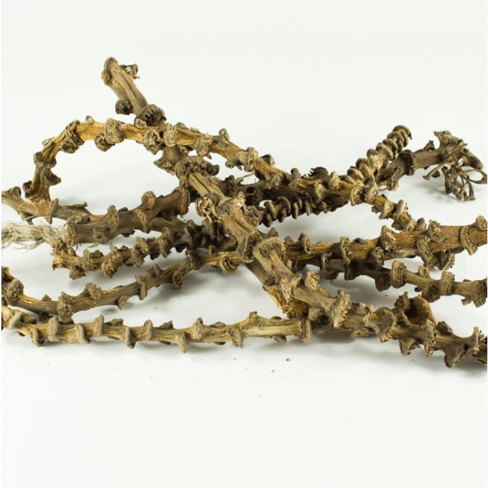Banana Stems 30-40cm
