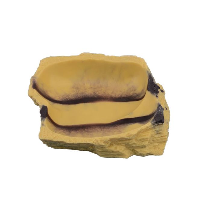 Ciotola per rettili SandStone