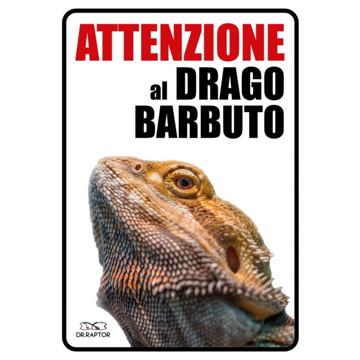 Targhetta "attenzione Al Drago Barbuto"