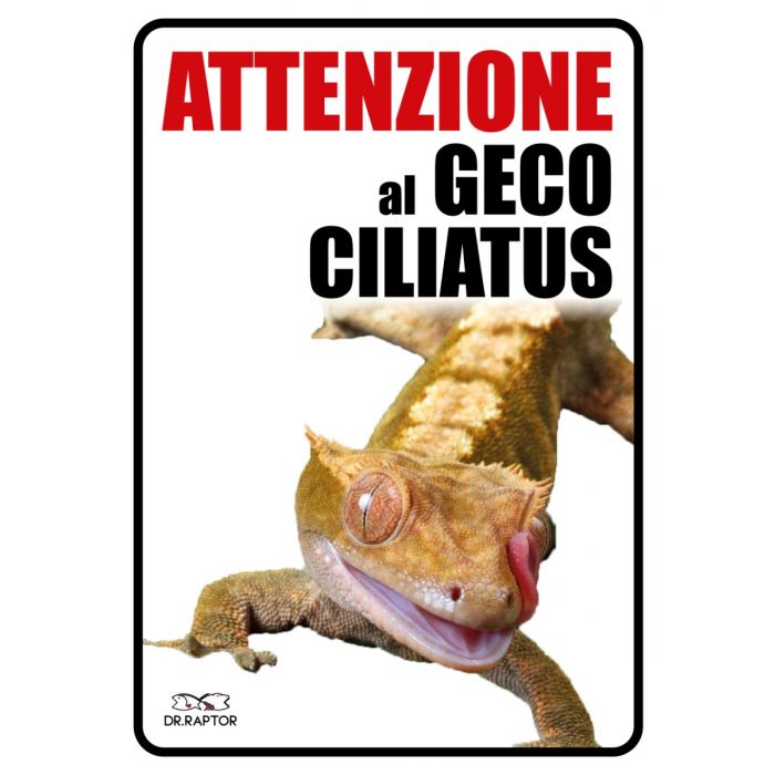 Targhetta "attenzione Al Geco Ciliatus"