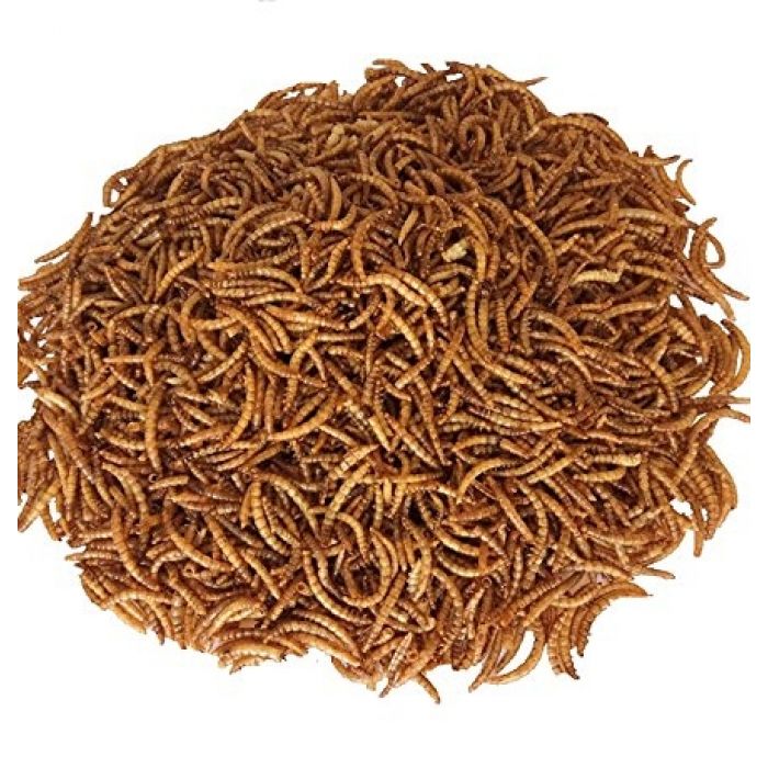 Tarme della Farina essiccate Qualità Premium 1Kg