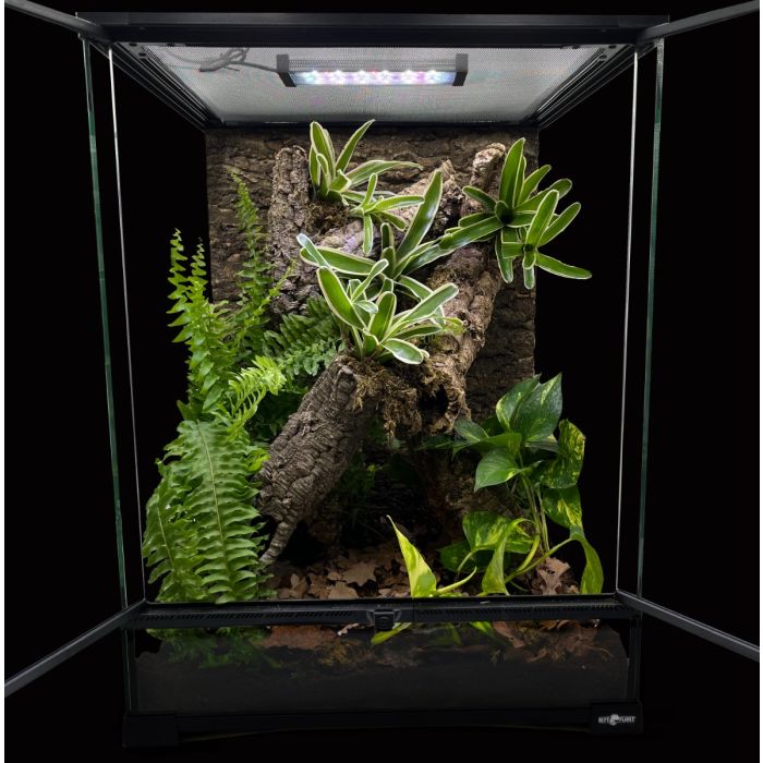 Terrario Bioattivo per Geco Ciliatus 30x30x45cm