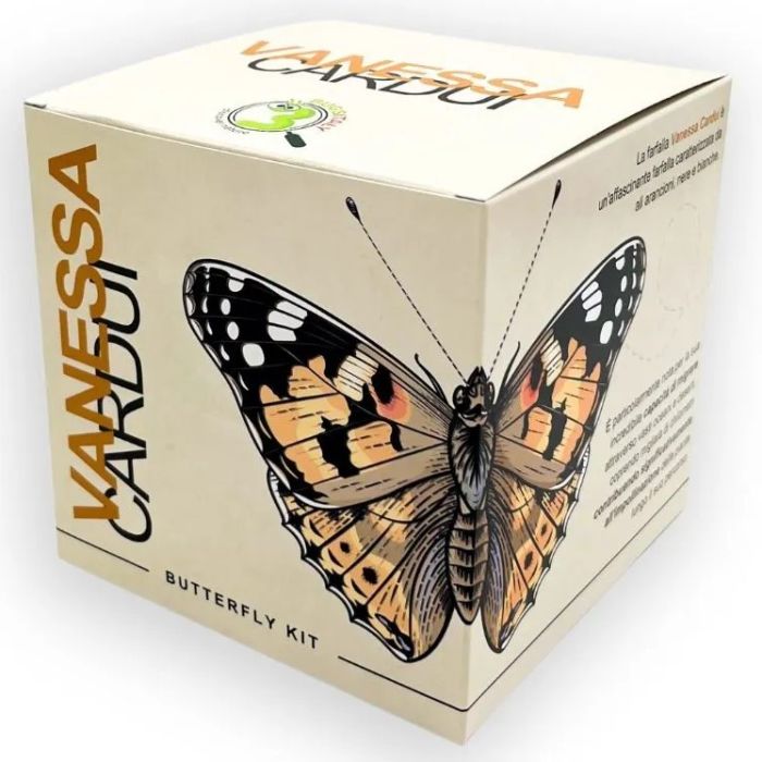 Vanessa Cardui Butterfly Kit