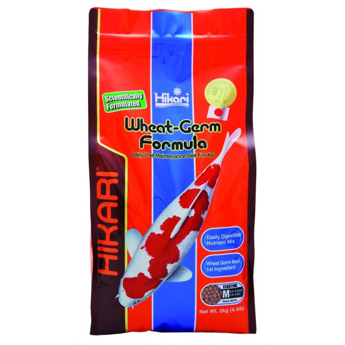 Hikari - WHEAT GERM FORMULA medium pellet - 500 gr- Mangime invernale