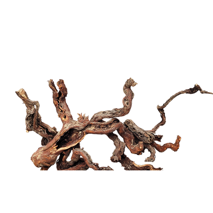Wio -  Centurion Wood