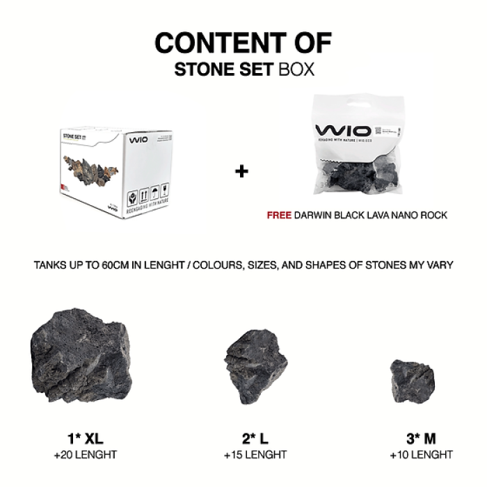 Wio - Darwin Black Lava Stone Set Box