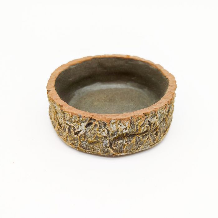 Hatchling Dish 8x8x2,5cm