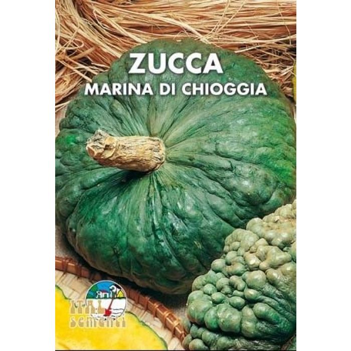 Semi di Zucca Marina di Chioggia