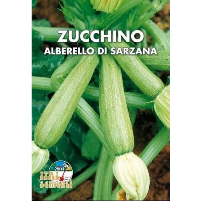 Semi di Zucchino Alberello di Sarzana