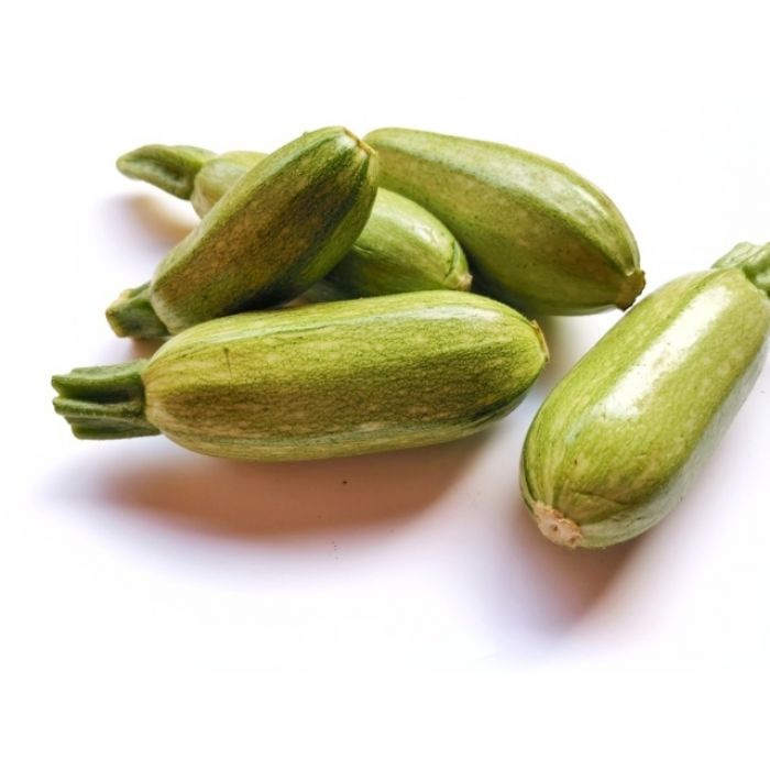 Zucchino Bolognese (verde chiaro) - Vaschetta 4 piantine