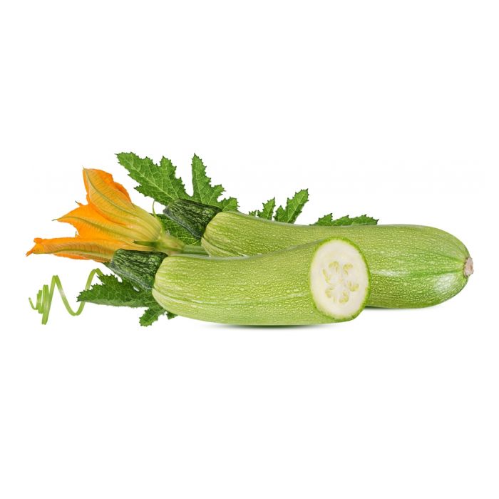 Zucchino Chiaro Genovese Ibrido - Vaschetta 4 piantine