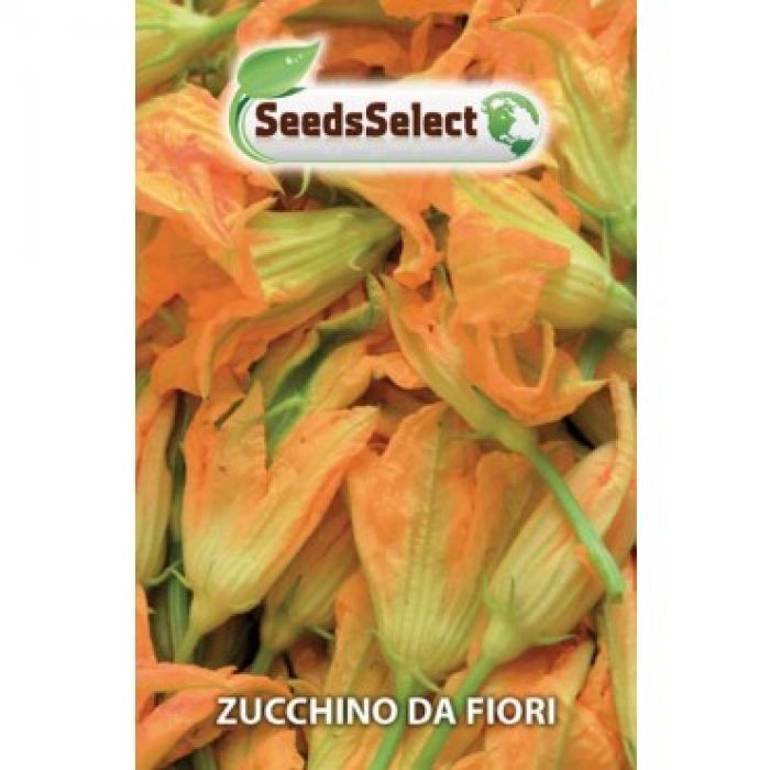 Semi Zucchino Da Fiore "san Pasquale"