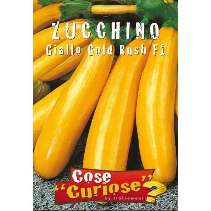 Semi Zucchino Giallo Gold Rush