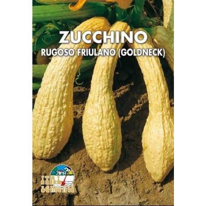 Semi Zucchino Nano Giallo Friulano 