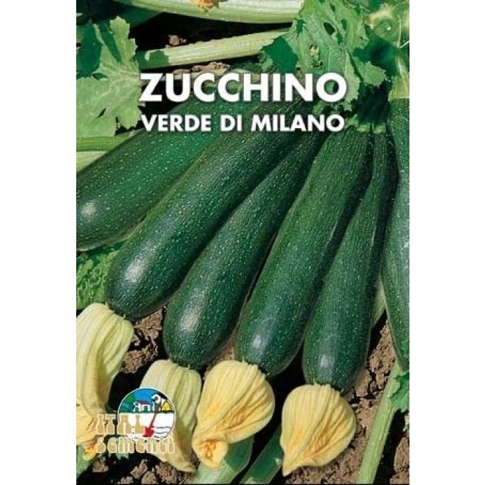 Semi di Zucchino Nano Verde di Milano