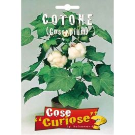 30+ Semi Di Cotone Ornamentale + 5 Semi Omaggio Mix - Coltiva La Tua Pianta Di Cotone In Vaso