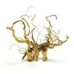Desert Drift Wood - Radici per terrari naturalistici