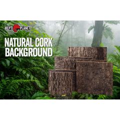 Natural Cork Background - Sfondo naturale in sughero per terrari