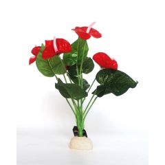 Anthurium Red 40cm