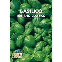 Semi di Basilico Italiano Classico 