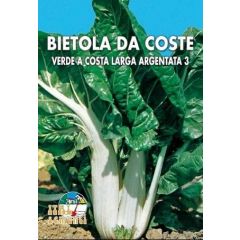 Semi di Bietola da Coste Verde a Costa Larga Argentata 3