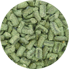 Biscotti artigianali per cani alla Spirulina 200gr. - Superfood Snack per cani