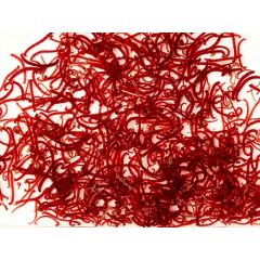 Chironomus rossi vivi 100 ml - cibo vivo per pesci tropicali e marini