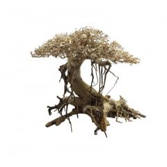 Ada Bonsai Wood 7