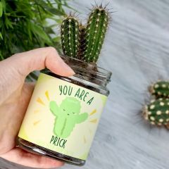 Kit di Coltivazione Cactus in vaso di vetro